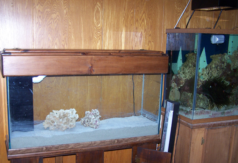 full_refugium.jpg