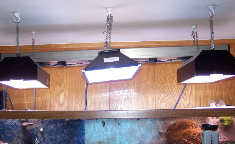 lights.jpg